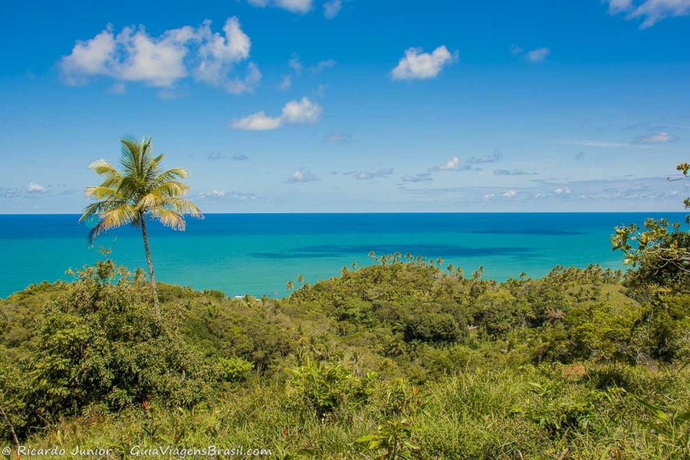 Imagem da vegetação e ao longe o mar azul maravilhoso da Praia Jeribucaçu.